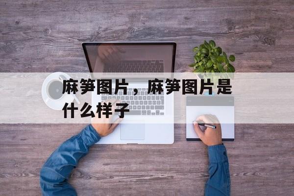 麻笋图片，麻笋图片是什么样子-第1张图片-