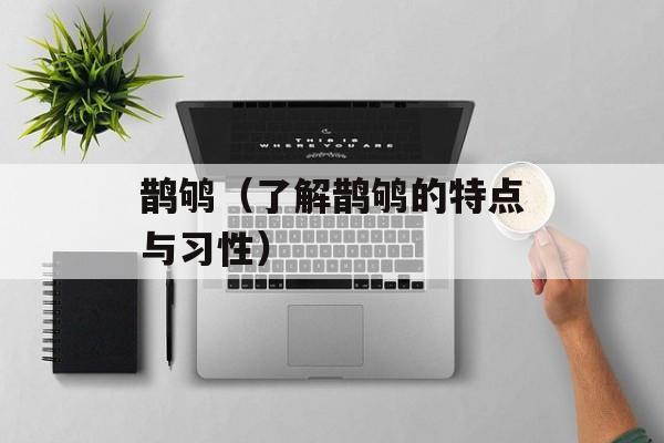 鹊鸲（了解鹊鸲的特点与习性）-第1张图片-