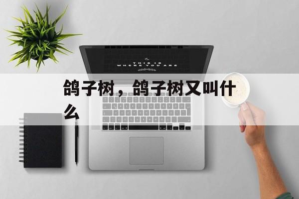 鸽子树，鸽子树又叫什么-第1张图片-