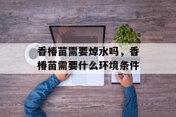 香椿苗需要焯水吗，香椿苗需要什么环境条件-第1张图片-
