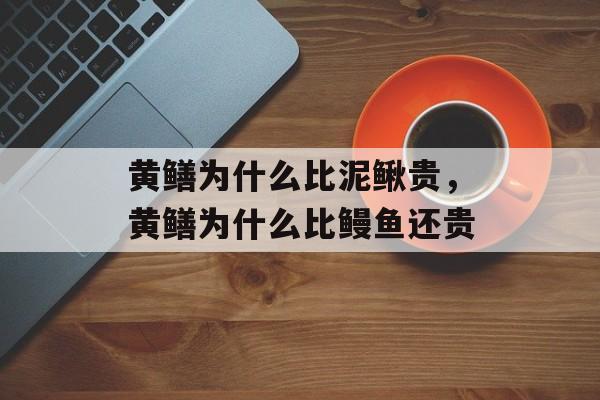 黄鳝为什么比泥鳅贵，黄鳝为什么比鳗鱼还贵-第1张图片-