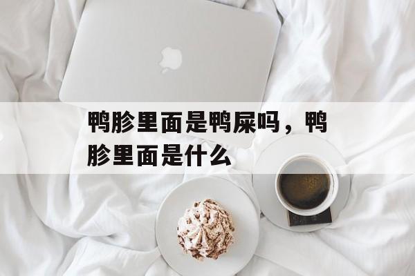 鸭胗里面是鸭屎吗，鸭胗里面是什么-第1张图片-