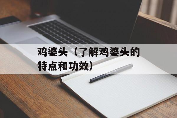 鸡婆头（了解鸡婆头的特点和功效）-第1张图片-