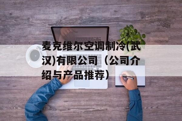 麦克维尔空调制冷(武汉)有限公司（公司介绍与产品推荐）-第1张图片-