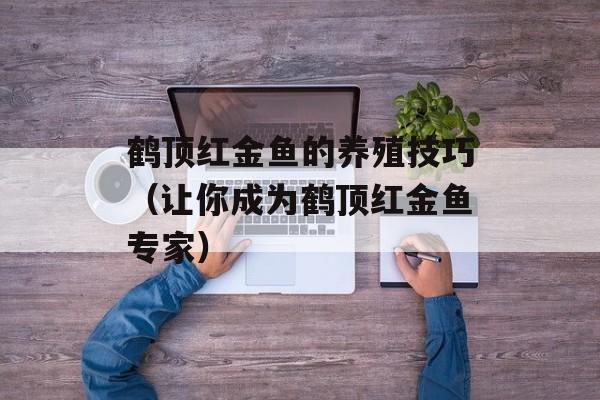 鹤顶红金鱼的养殖技巧（让你成为鹤顶红金鱼专家）-第1张图片-