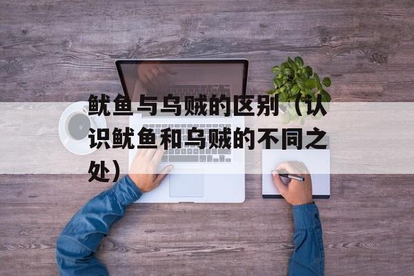 鱿鱼与乌贼的区别（认识鱿鱼和乌贼的不同之处）-第1张图片-