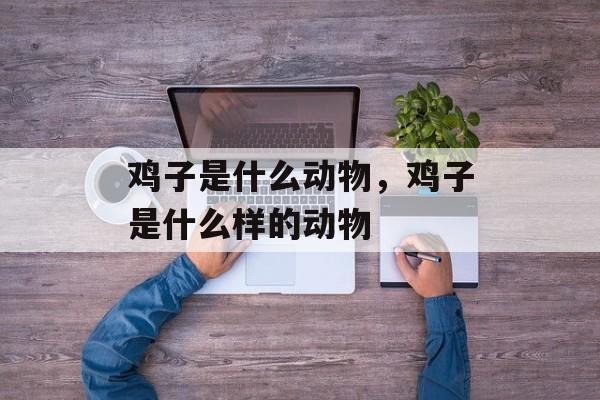 鸡子是什么动物，鸡子是什么样的动物-第1张图片-