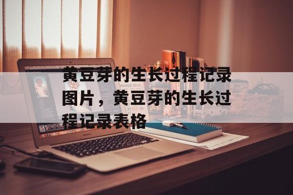 黄豆芽的生长过程记录图片，黄豆芽的生长过程记录表格-第1张图片-