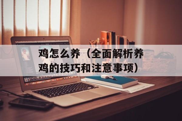 鸡怎么养（全面解析养鸡的技巧和注意事项）-第1张图片-
