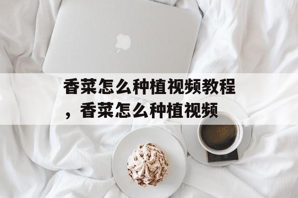 香菜怎么种植视频教程，香菜怎么种植视频-第1张图片-