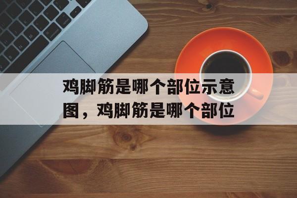 鸡脚筋是哪个部位示意图，鸡脚筋是哪个部位-第1张图片-
