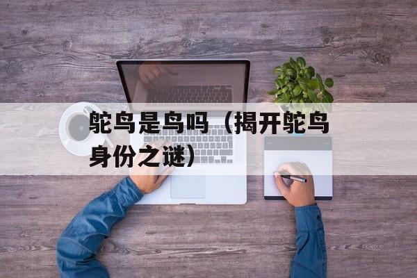 鸵鸟是鸟吗（揭开鸵鸟身份之谜）-第1张图片-