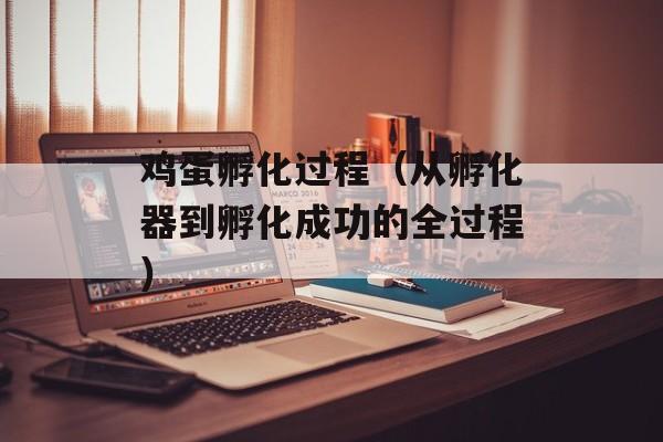 鸡蛋孵化过程（从孵化器到孵化成功的全过程）-第1张图片-