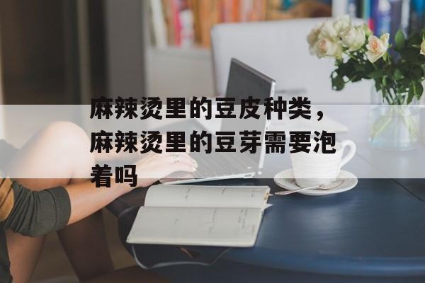 麻辣烫里的豆皮种类，麻辣烫里的豆芽需要泡着吗-第1张图片-