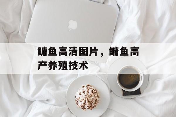 鳙鱼高清图片，鳙鱼高产养殖技术-第1张图片-