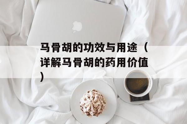 马骨胡的功效与用途（详解马骨胡的药用价值）-第1张图片-