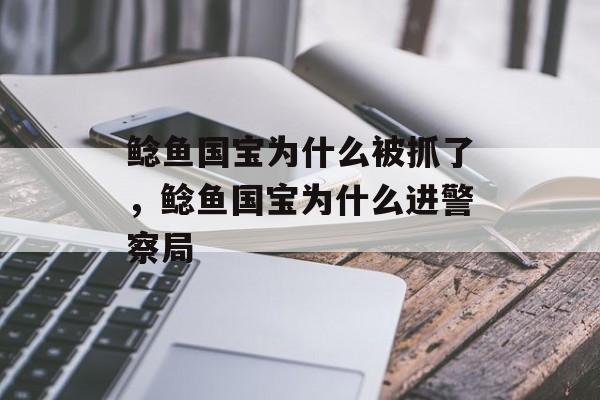 鲶鱼国宝为什么被抓了，鲶鱼国宝为什么进警察局-第1张图片-