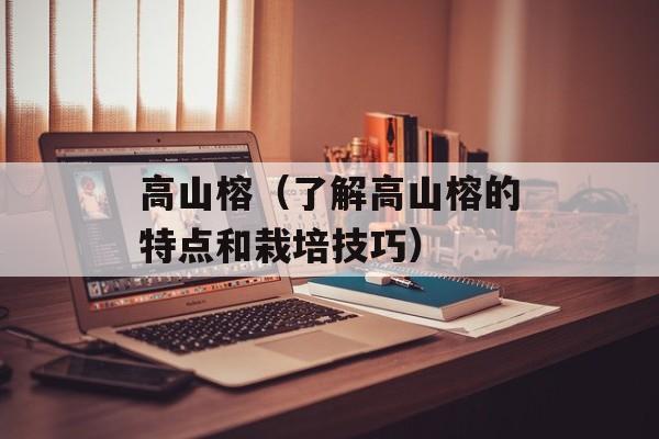高山榕（了解高山榕的特点和栽培技巧）-第1张图片-