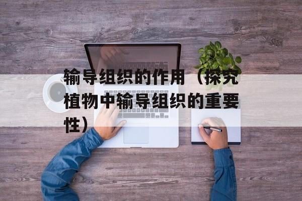 输导组织的作用（探究植物中输导组织的重要性）-第1张图片-