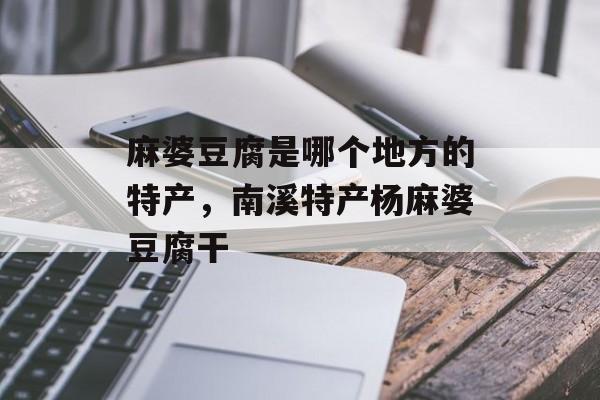 麻婆豆腐是哪个地方的特产，南溪特产杨麻婆豆腐干-第1张图片-