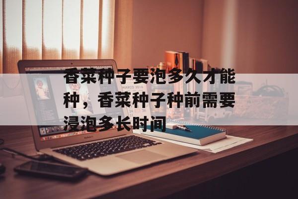 香菜种子要泡多久才能种，香菜种子种前需要浸泡多长时间-第1张图片-