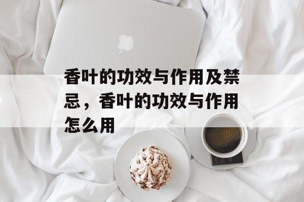 香叶的功效与作用及禁忌，香叶的功效与作用怎么用-第1张图片-