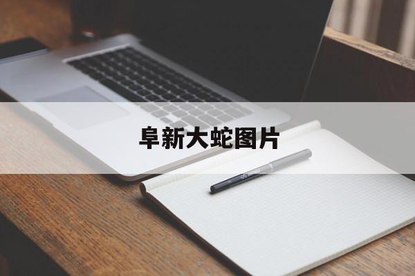 阜新大蛇图片-第1张图片-