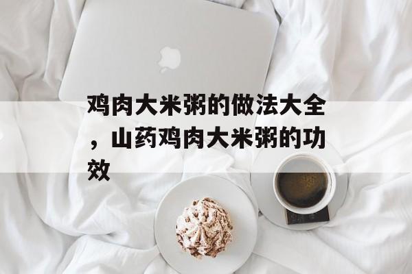 鸡肉大米粥的做法大全，山药鸡肉大米粥的功效-第1张图片-