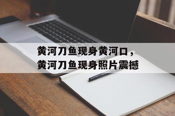 黄河刀鱼现身黄河口，黄河刀鱼现身照片震撼-第1张图片-