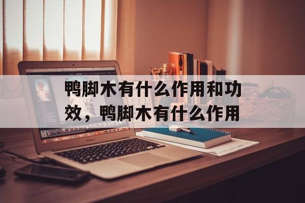 鸭脚木有什么作用和功效，鸭脚木有什么作用-第1张图片-