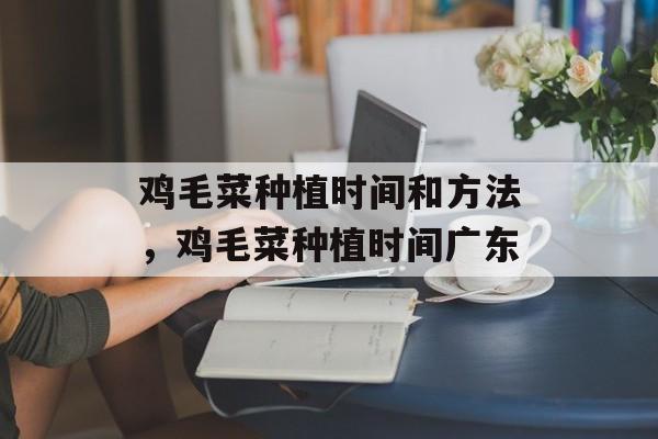 鸡毛菜种植时间和方法，鸡毛菜种植时间广东-第1张图片-