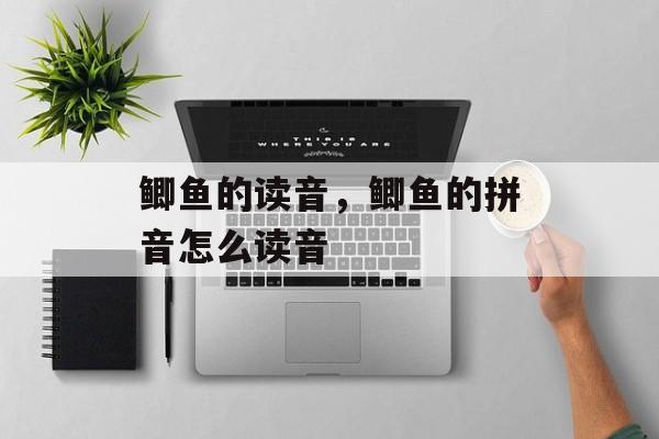 鲫鱼的读音，鲫鱼的拼音怎么读音-第1张图片-