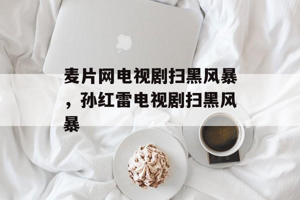 麦片网电视剧扫黑风暴，孙红雷电视剧扫黑风暴-第1张图片-