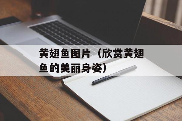 黄翅鱼图片（欣赏黄翅鱼的美丽身姿）-第1张图片-