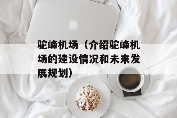 驼峰机场（介绍驼峰机场的建设情况和未来发展规划）-第1张图片-