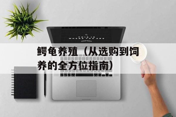 鳄龟养殖（从选购到饲养的全方位指南）-第1张图片-