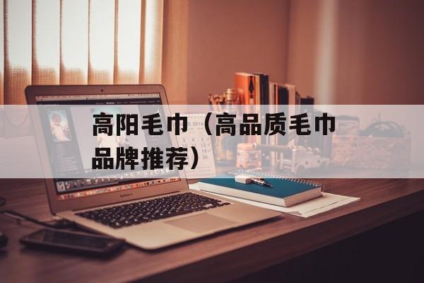 高阳毛巾（高品质毛巾品牌推荐）-第1张图片-