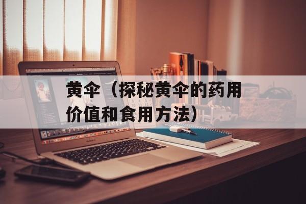 黄伞（探秘黄伞的药用价值和食用方法）-第1张图片-