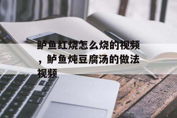鲈鱼红烧怎么烧的视频，鲈鱼炖豆腐汤的做法视频-第1张图片-