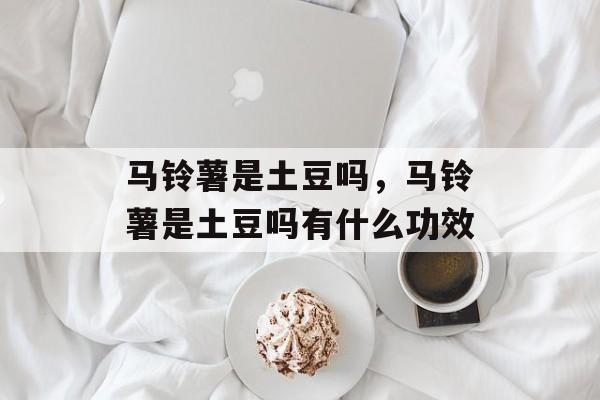 马铃薯是土豆吗，马铃薯是土豆吗有什么功效-第1张图片-