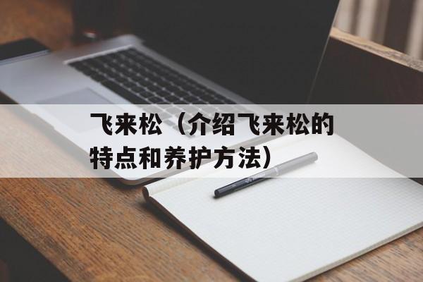 飞来松（介绍飞来松的特点和养护方法）-第1张图片-