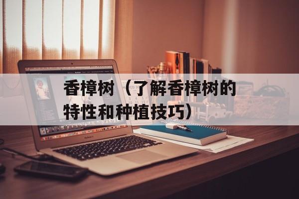 香樟树（了解香樟树的特性和种植技巧）-第1张图片-