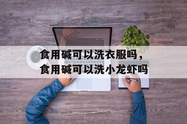 食用碱可以洗衣服吗，食用碱可以洗小龙虾吗-第1张图片-
