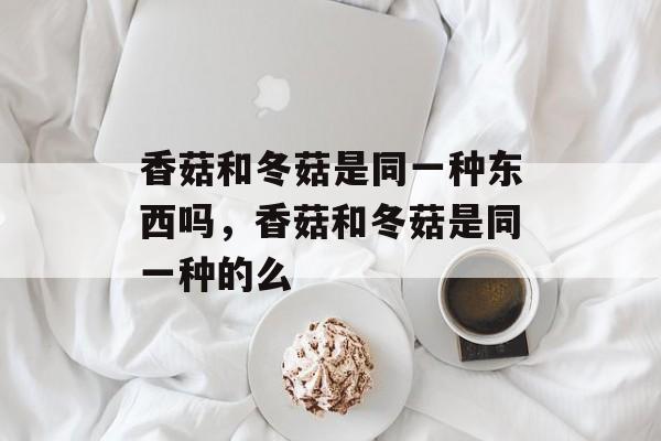 香菇和冬菇是同一种东西吗，香菇和冬菇是同一种的么-第1张图片-