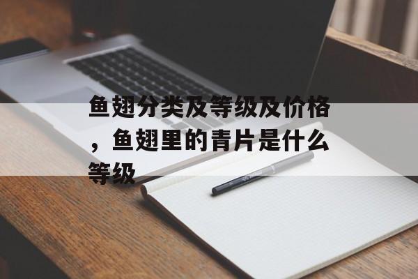 鱼翅分类及等级及价格，鱼翅里的青片是什么等级-第1张图片-