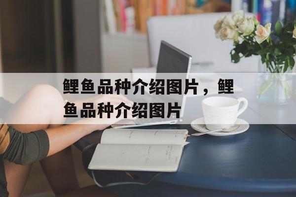 鲤鱼品种介绍图片，鲤鱼品种介绍图片-第1张图片-