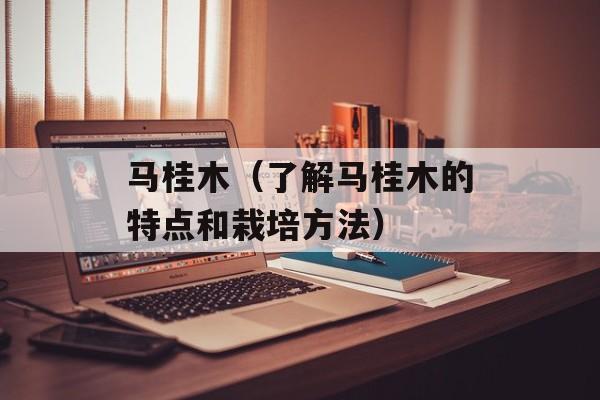 马桂木（了解马桂木的特点和栽培方法）-第1张图片-