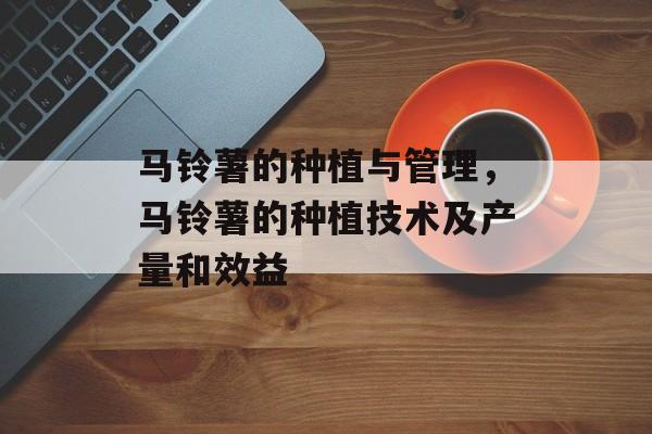 马铃薯的种植与管理，马铃薯的种植技术及产量和效益-第1张图片-