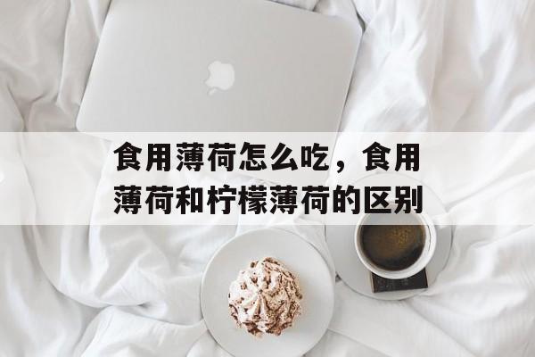 食用薄荷怎么吃，食用薄荷和柠檬薄荷的区别-第1张图片-