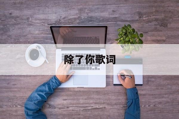除了你歌词-第1张图片-